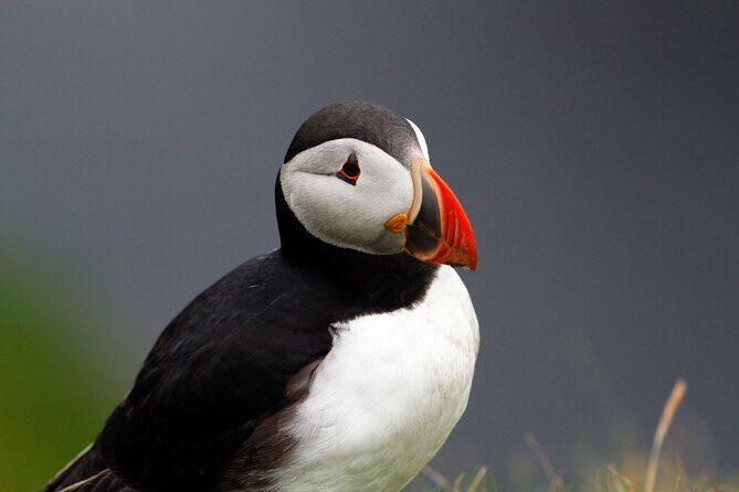 4 Day Mull, Iona and Staffa Puffin Experience from Edinburgh - Day 1: Loch Lomond Village Views, Inveraray Lunch, and the Dunadd Fort Story