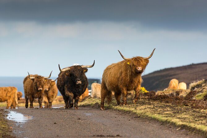 8 Day Isle of Skye, Orkney & North Coast 500 tour from Edinburgh - Why this 8-day Skye, Orkney, and North Coast 500 mix makes sense