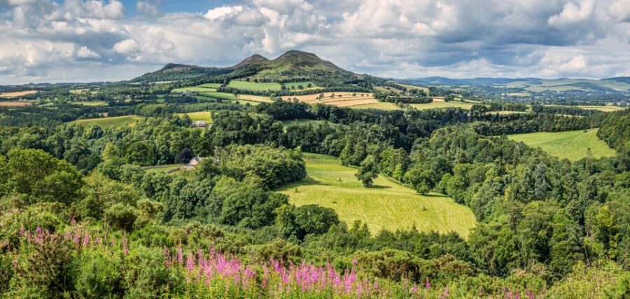 Alnwick Castle, Northumberland & Scottish Borders 1-Day Tour - Key highlights worth waking up early for