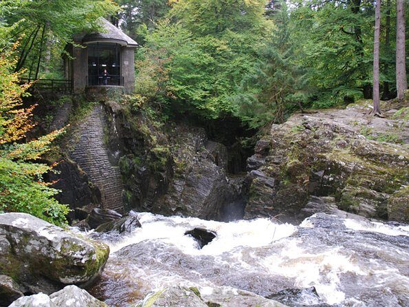 Best of Scotland in a Day Very Small Group Tour from Edinburgh - Perthshire Cattle Photos and a River Forth Finish