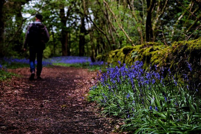 Central Scotland Driving Tour - Stirlingshire (Private) - Callander and the Gateway to the Highlands (Plus a Good Bite)