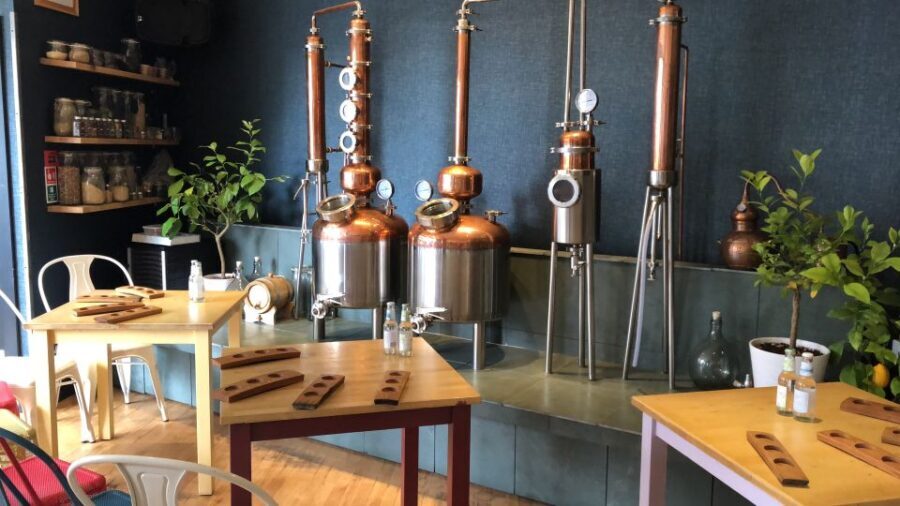 Distillery Masterclass - 8 Scottish gins paired with cheeses - Why 56 North is the right start for an Edinburgh gin class