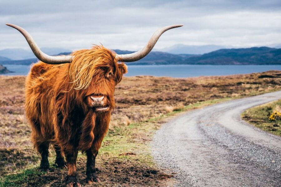 Edinburgh: 3-Day Isle of Skye, Highlands, and Loch Ness Tour - Why this 3-day Highlands route feels efficient