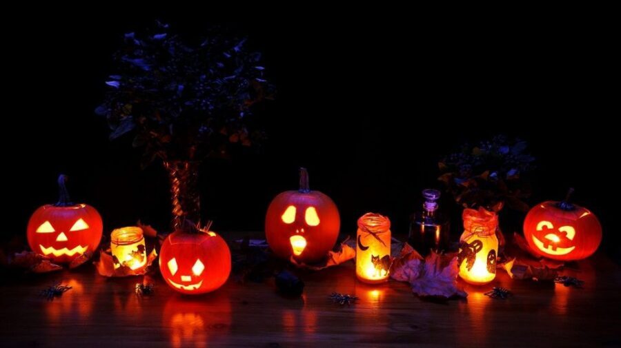 Edinburgh: Dark Secrets of the Old Town Halloween Tour - Anatomy lectures and the corpse trade: learning the system behind the horror