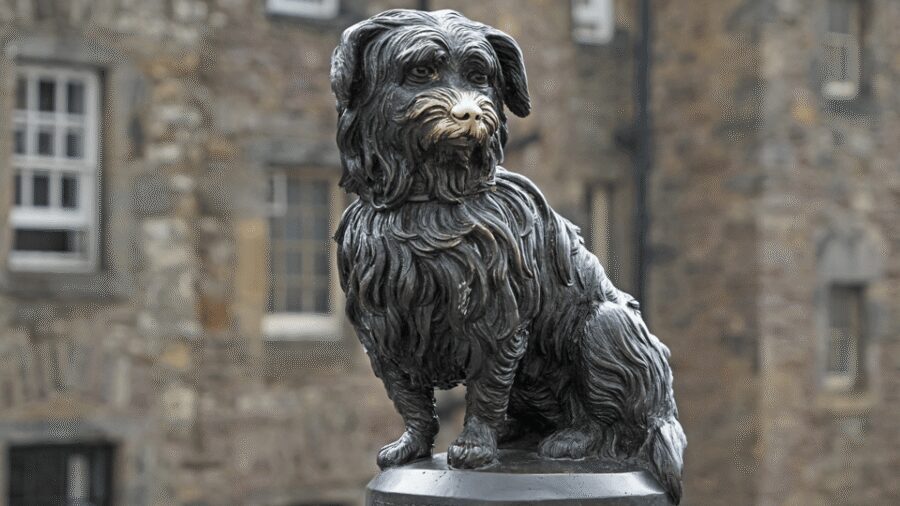 Edinburgh: Discover Edinburgh's Old Town Walking Tour - Two Hours on Foot: What This Walk Really Covers