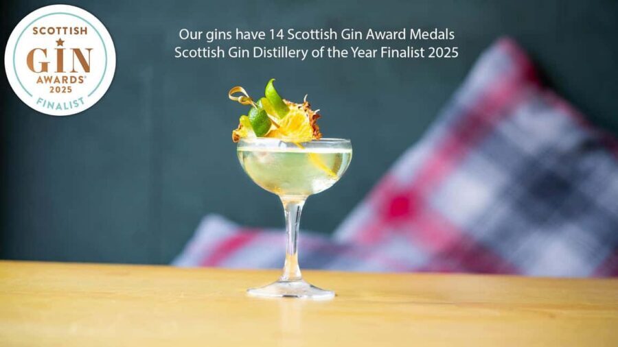 Edinburgh: Guided Gin Tasting at 56 North Distillery - The gin talk and presentation: what you learn besides flavor