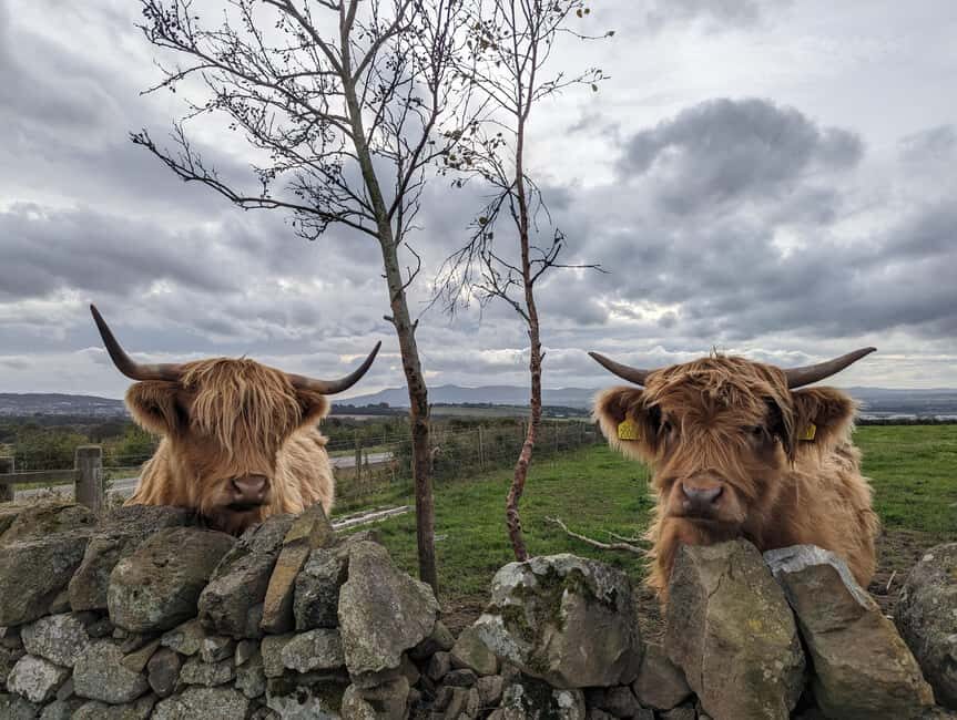 Edinburgh: Harry Potter, Glenfinnan Viaduct & Highland Tour - Key highlights you’ll care about