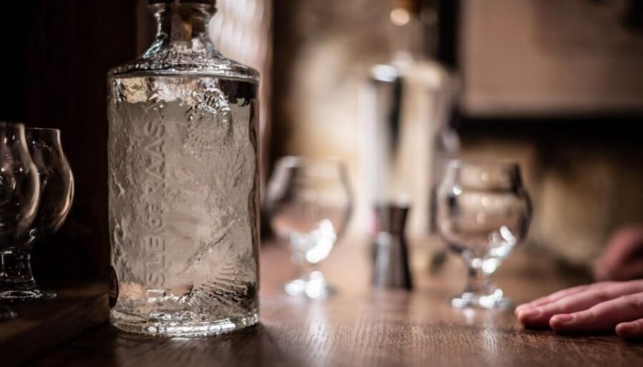 Edinburgh: Harry Potter Origins Tour & Gin Tasting Combo - Who this tour is best for