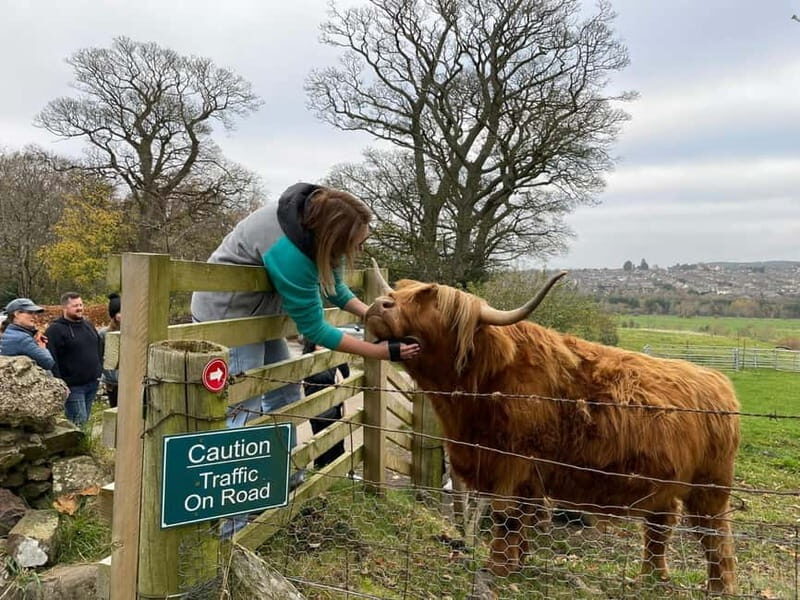Edinburgh: Highland Cow, Blackness Castle, and Cake Tour - The 5-Hour Structure That Keeps It Relaxed (Not Rushed)