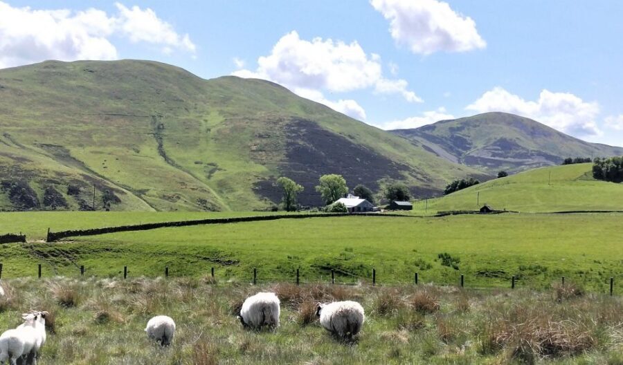 Edinburgh: Hill & Nature Hike With a Local - Moorlands and Lochs: Where the Views Come From