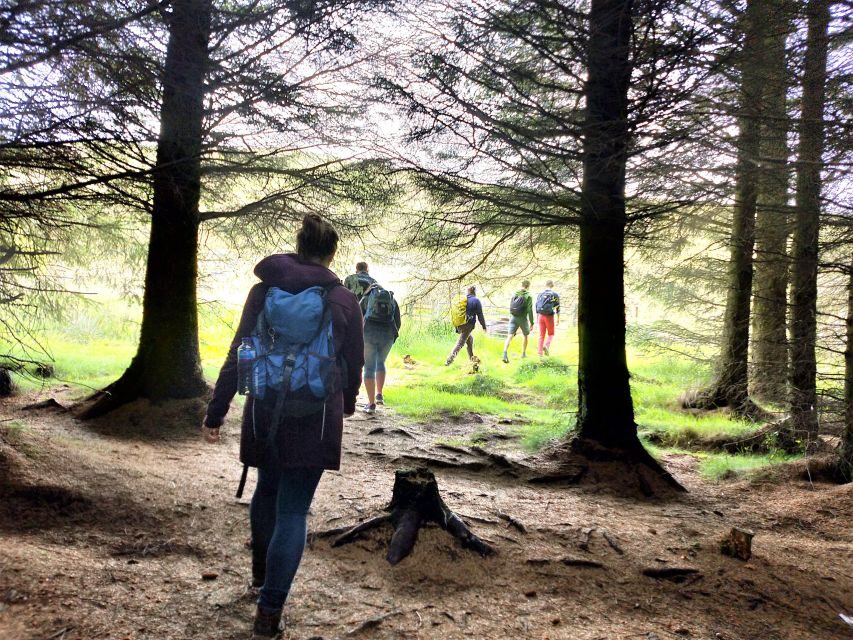 Edinburgh: Hill & Nature Hike With a Local - Weather Reality: What to Wear When Scotland Does Scotland