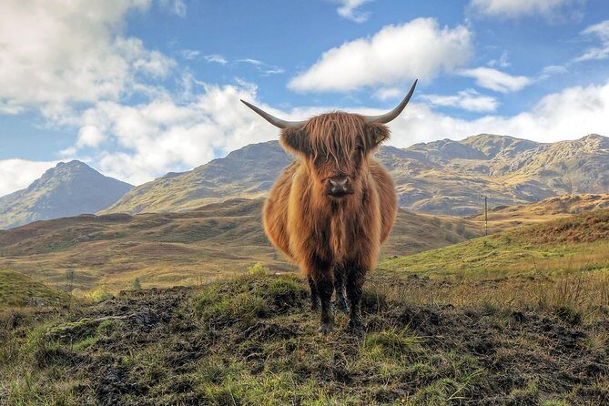 Edinburgh: Loch Lomond, Stirling Castle and the Kelpies Day Tour - Loch Lomond at Balloch: cruise or a relaxed shoreside walk
