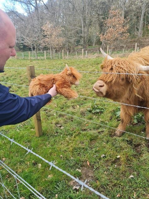Edinburgh: Loch Ness, Glencoe, Coos & the Highlands Day Tour - Cairngorms National Park by bus: how to make this part feel worth it