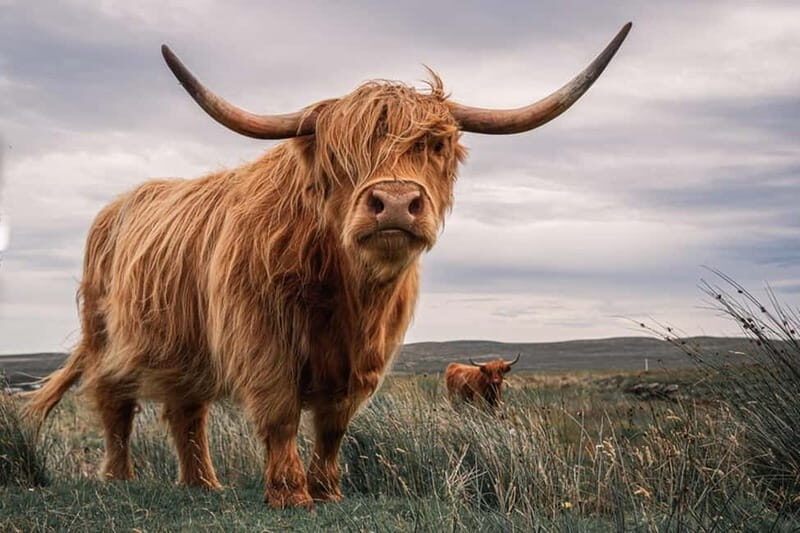 Edinburgh: Loch Ness, Inverness & Highlands Tour in Spanish - Glen Coe Valley photo plan: three chances at the Three Sisters