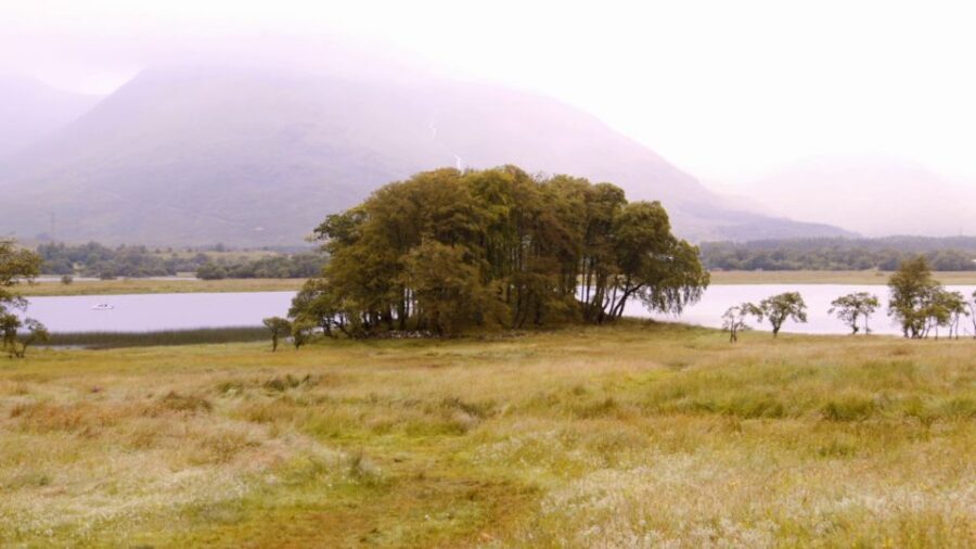 Edinburgh: Oban, Kilchurn Castle & Inveraray Tour in Spanish - Inveraray on Loch Fyne: Duke of Argyll country with William Adam context