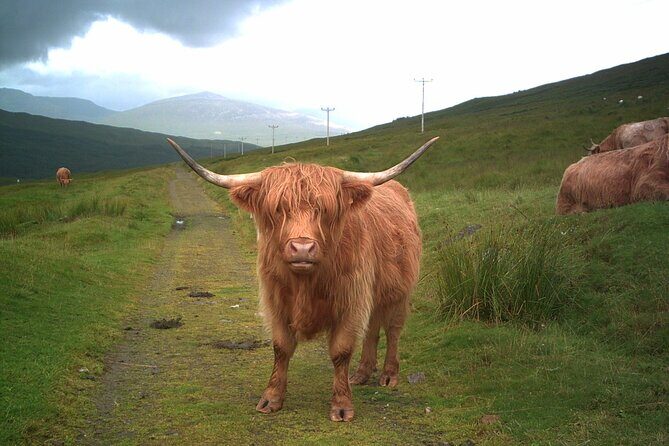 Edinburgh: Private Loch Ness Glencoe and The Highlands Tour - Private Highlands Day From Edinburgh: What You’re Really Buying