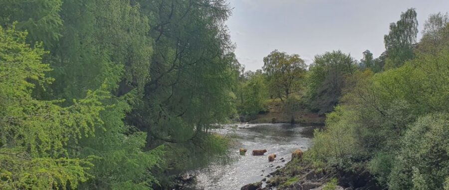 From Edinburgh: a Private Tour to a Majestic Highland Glen - How This Private Road Trip Stitches Stirling and Glen Lyon Together
