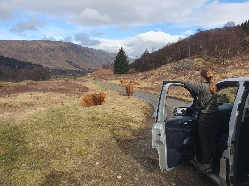 From Edinburgh: a Private Tour to a Majestic Highland Glen - Price, Comfort, and Real Value for a Private Group Up to 5