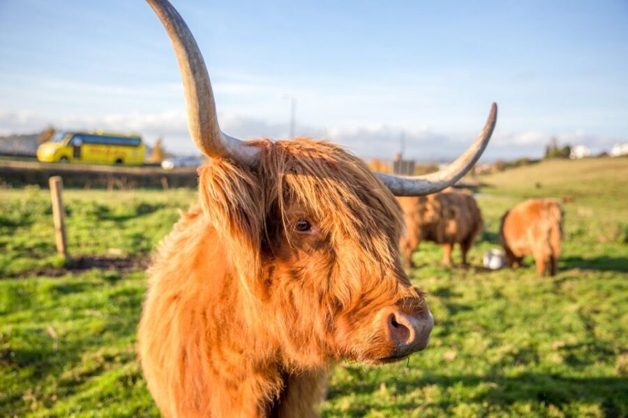 From Edinburgh: Isle of Skye & The Highlands 3-Day Tour - Glen Coe, Rannoch Moor, and Rob Roy country: the road-trip finale that lands