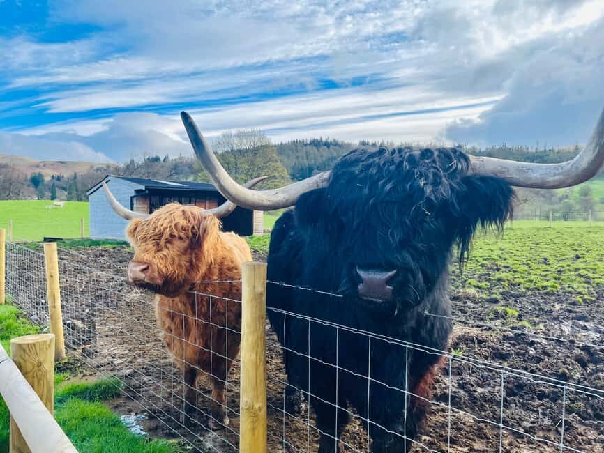 From Edinburgh: Loch Ness, Glencoe & The Highlands Day Trip - From Historic Scotland to the Kelpies and Stirling Castle