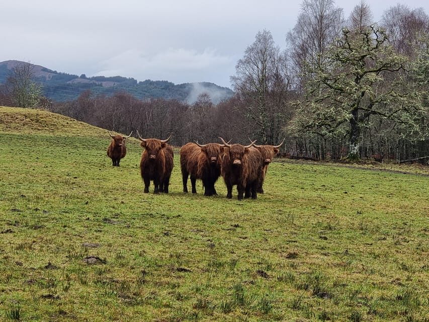 From Edinburgh: Loch Ness Private Day Tour with Transfers - Your Day at a Glance: How the Route Feels (Not Just Where You Go)