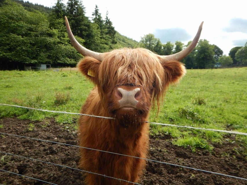 From Edinburgh: Orkney, Skye and the Far North 8 Day Tour - Day 8: Culloden and Pitlochry—Jacobite defeat, Cairngorm views, and a relaxed ending
