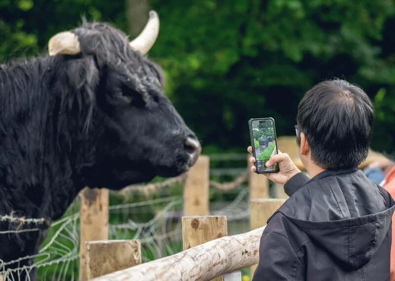 From Edinburgh: Stirling Castle, Kelpies and Loch Lomond - Aberfoyle, Duke’s Pass, and Callander: The Scenic Drive You’ll Actually Remember