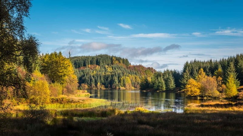 From Edinburgh: Stirling Castle, Kelpies and Loch Lomond - Stirling and the Fight for Scotland: Castle Option and City Time