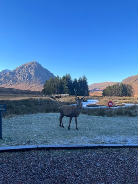 From Edinburgh: The Kelpies, Glencoe & Loch Lomond Day Tour - Glencoe: Skyfall filming, Harry Potter backdrops, and real tragedy
