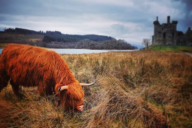 Full Day Private Tour in West Highlands, Oban and Glencoe - A Private West Highlands Route You Can Actually Finish