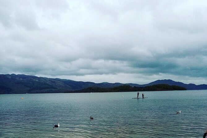 Full-Day Tour Loch Lomond, Stirling Castle and The Trossachs - A quick photo stop: Forth Bridges viewpoint for one last Scotland postcard