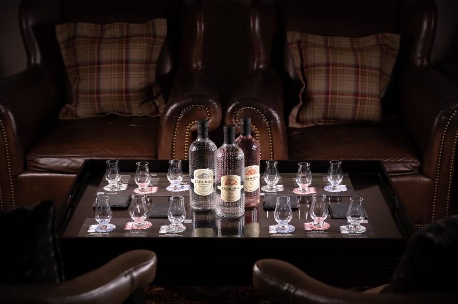 Gin Tasting Experience with a Perfect Serve - Tips for a smooth session: what to bring and how to enjoy it responsibly