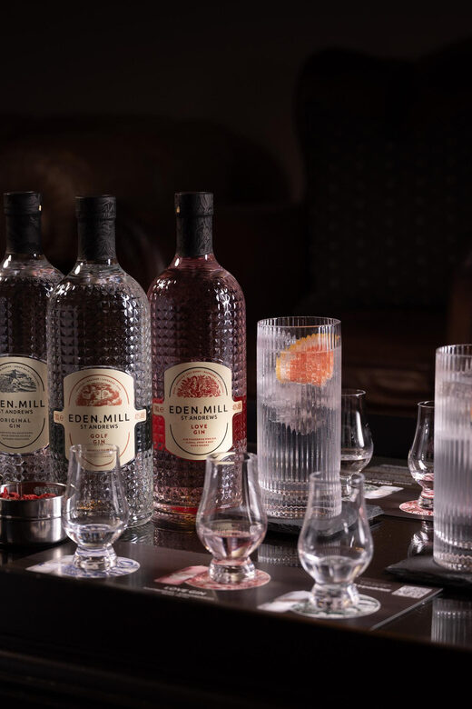 Gin Tasting Experience with a Perfect Serve - Practical logistics: meeting point, group size, and language