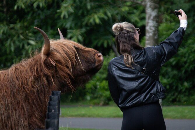Highlands Cows Glencoe and Castles Private Tour from Edinburgh - Key highlights worth your attention