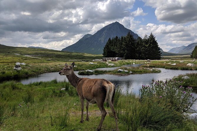 Highlands Private One Day Tour of Scotland - Glencoe National Nature Reserve: your one-hour payoff