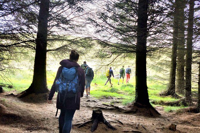 Hill & Nature Hike - Discover Real Edinburgh With a Local Expert - Stop 1: Getting Rolling in the Hills (and Why the Pace Starts Steep)