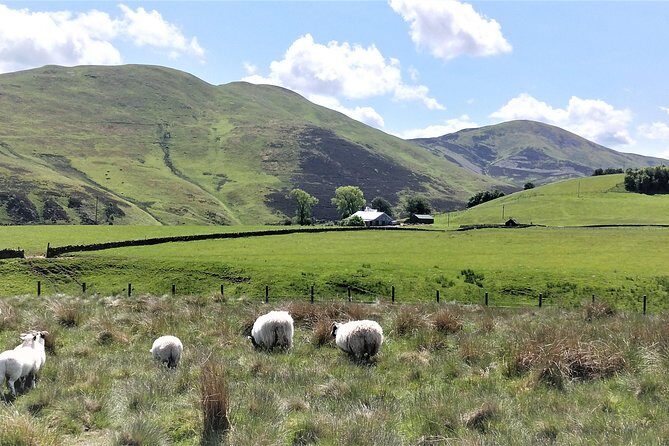 Hill & Nature Hike - Discover Real Edinburgh With a Local Expert - Views Over Edinburgh: Why This Summit is the Real Story