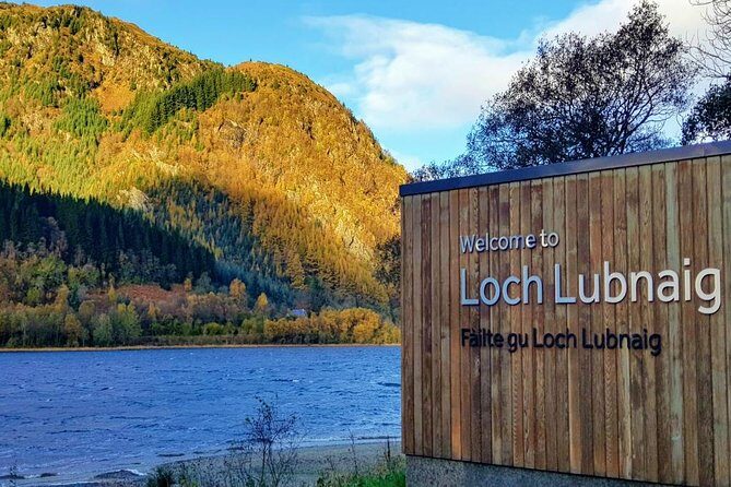 Loch Lomond & The Highlands Private Day Tour with Scottish Local - Highland cows at Trossachs Woollen Mill: quick, fun, and actually Scottish
