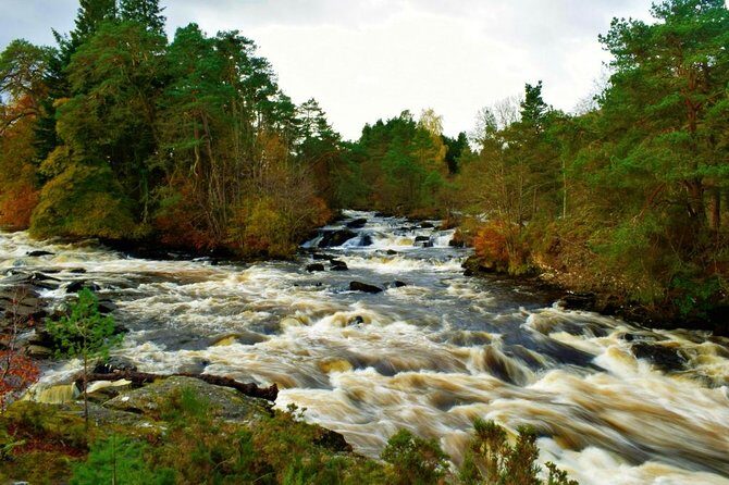 Loch Lomond & The Highlands Private Day Tour with Scottish Local - Roman Camp Bistro: Scottish produce and whisky time