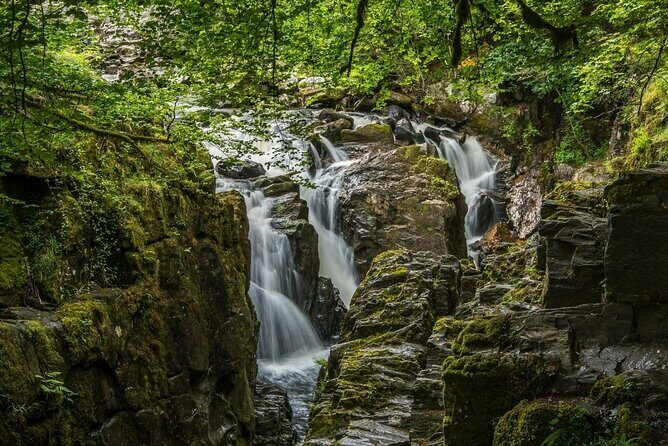 Loch Ness Cruise, Scenic Walk, Whisky & Glencoe Tour - Edinburgh - Hermitage Waterfalls: The Best Walking Stretch