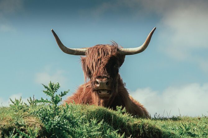 Loch Ness, Glen Coe & The Highlands Day Tour from Edinburgh - Glencoe: the short stop that still lands the story