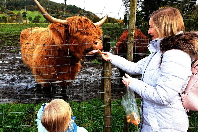 Loch Ness, Glencoe and the Highlands Private Day Tour - The Kelpies, Stirling Castle, and Wallace Views: Quick Stops That Pay Off