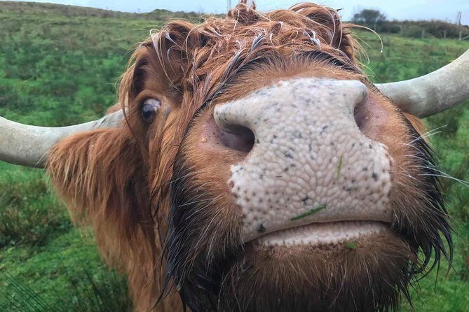 Multi Day Private Tour Of Scotland - A Private 3-Day Scotland Trip From Edinburgh (That Feels Personal)