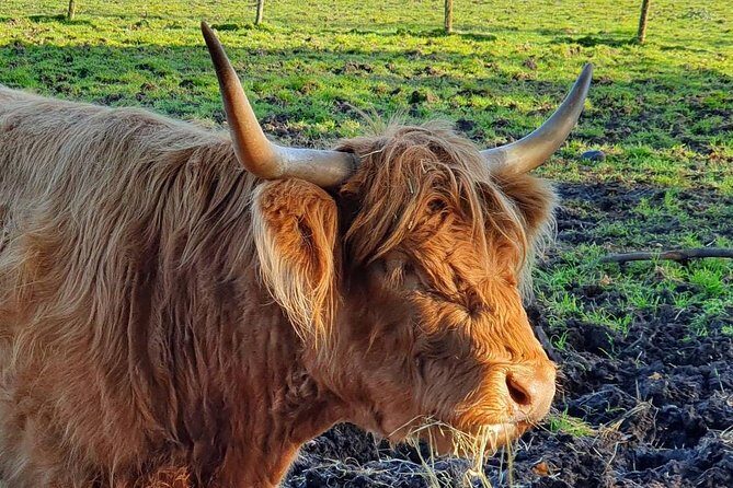 Private Central Highlands Driving Tour - Getting started: Edinburgh pickup at 9:00 and a day that runs on your time