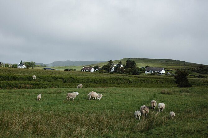 Private Full-Day Tour to the Scottish Highlands and Loch Ness - Glencoe Valley viewpoints: short stops, big payoffs