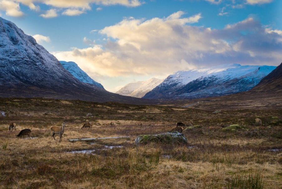 Private Harry Potter Day Tour For Small Groups - Glen Coe: the Prisoner of Azkaban vibe in a place with real attitude