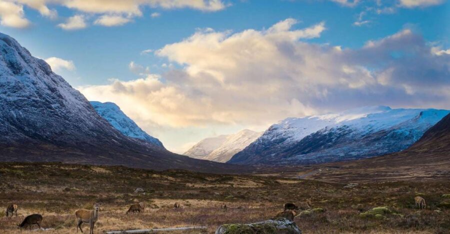 Private Harry Potter Day Tour For Small Groups - Glenfinnan Viaduct: the film moment you can actually walk beside