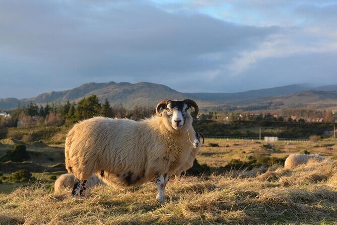 Private Luxury Tour of Loch Lomond, Glencoe & The Highlands - A private luxury Highlands day that actually fits in one go