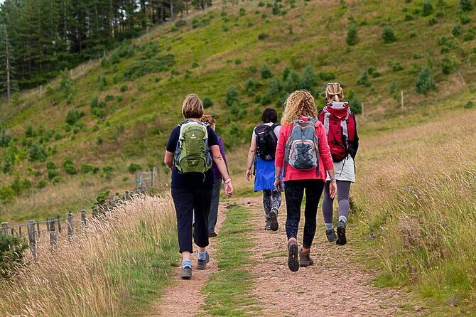Private Mindfulness and Nature Walk in Edinburgh - The walk rhythm: from mindful breathing to quiet reflection