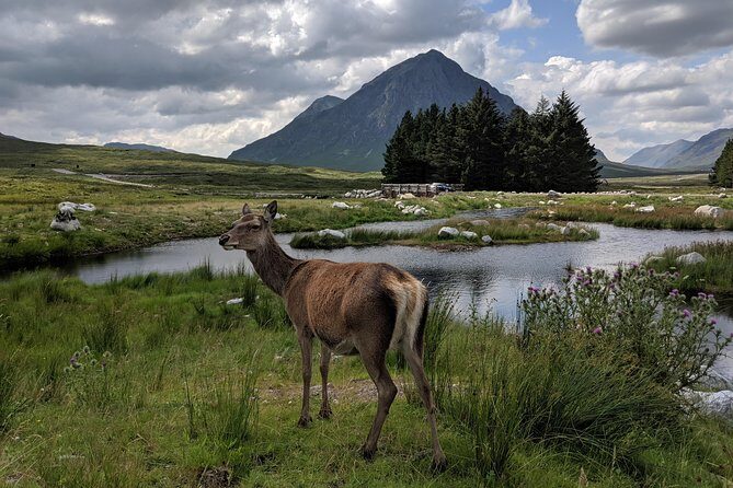 Private One Day Highlands Tour of Scotland - Balquhidder and the West Highlands Drive: The Real Scotland Feeling